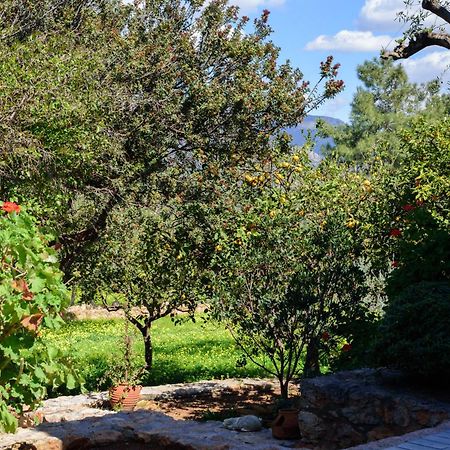 Eleni'S House Βίλα Asopos Εξωτερικό φωτογραφία