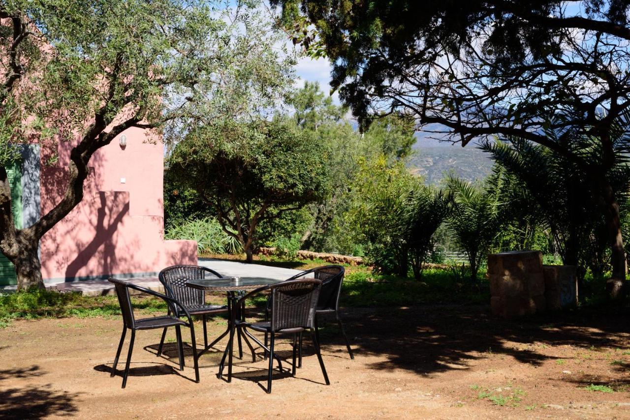 Eleni'S House Βίλα Asopos Εξωτερικό φωτογραφία