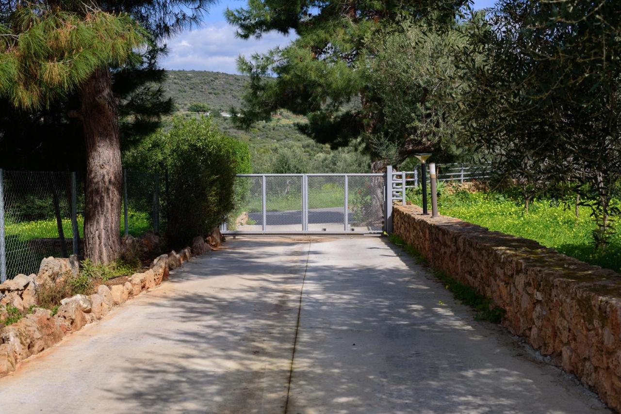 Eleni'S House Βίλα Asopos Εξωτερικό φωτογραφία