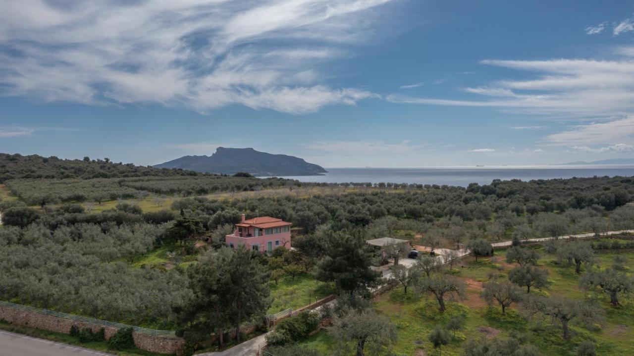 Eleni'S House Βίλα Asopos Εξωτερικό φωτογραφία
