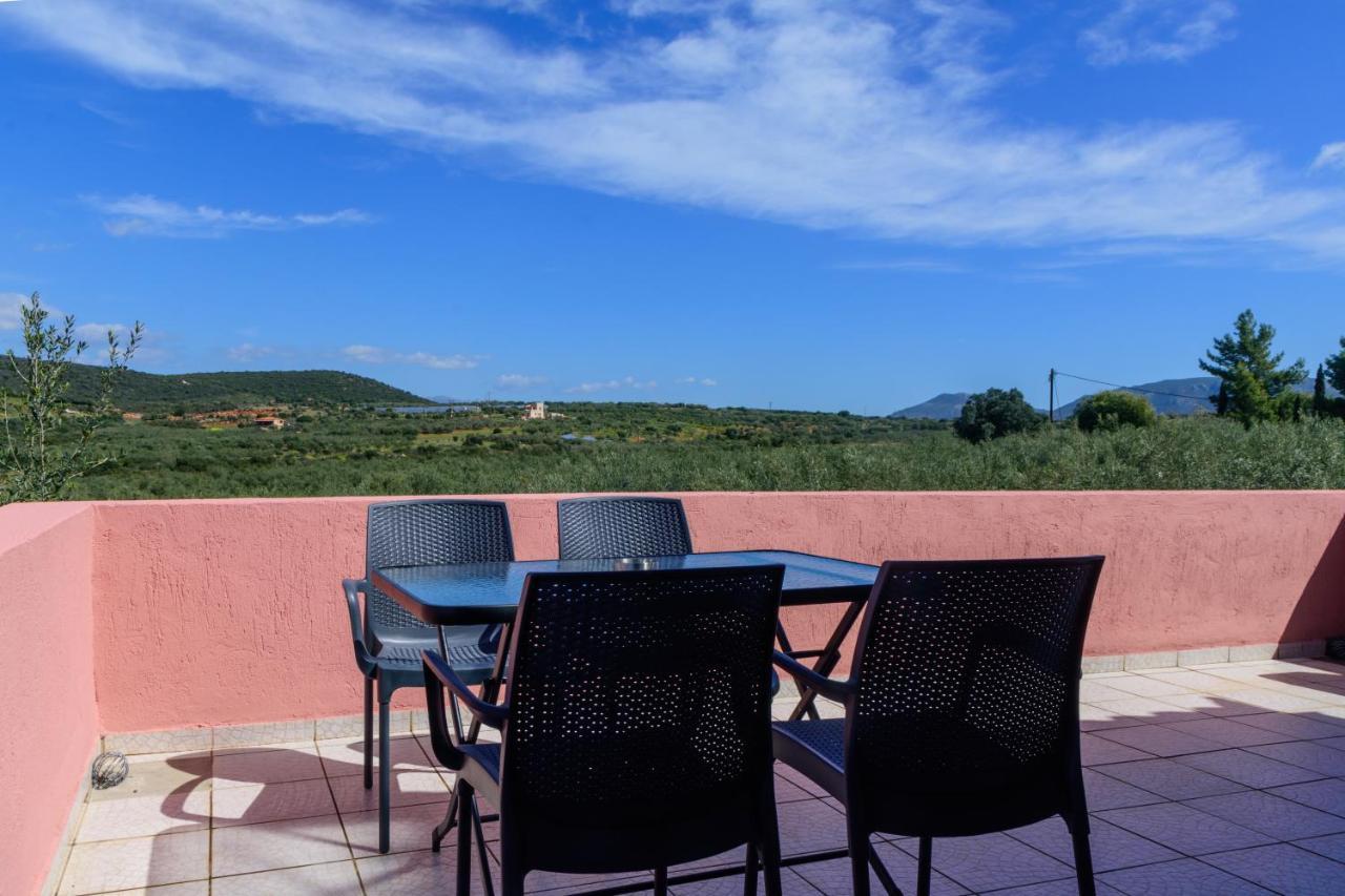 Eleni'S House Βίλα Asopos Εξωτερικό φωτογραφία