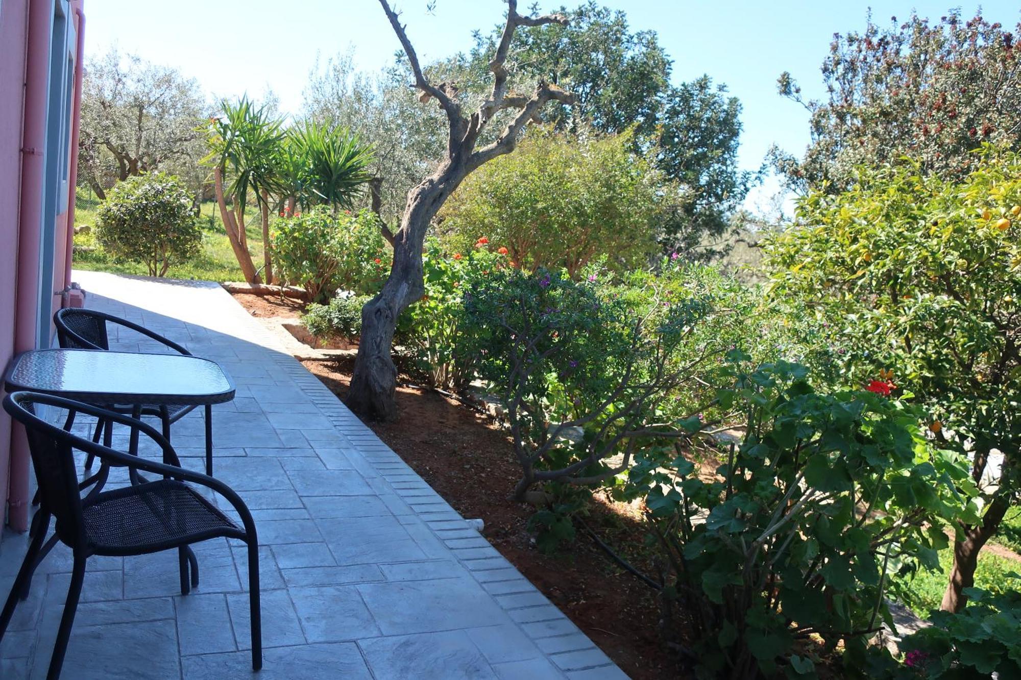 Eleni'S House Βίλα Asopos Εξωτερικό φωτογραφία